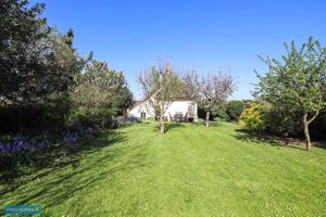Garden- click for photo gallery